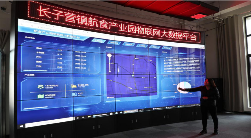 北京首农航食智能温室大棚项目 数字监控系统赋能现代农业新篇章