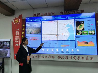 巴南电信赋能乡村振兴 数字大屏提“智”增“质”，监控系统助力平安乡村